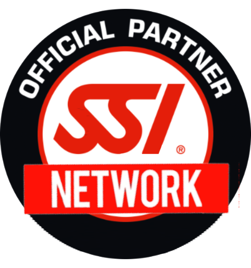 SSI Network Logo